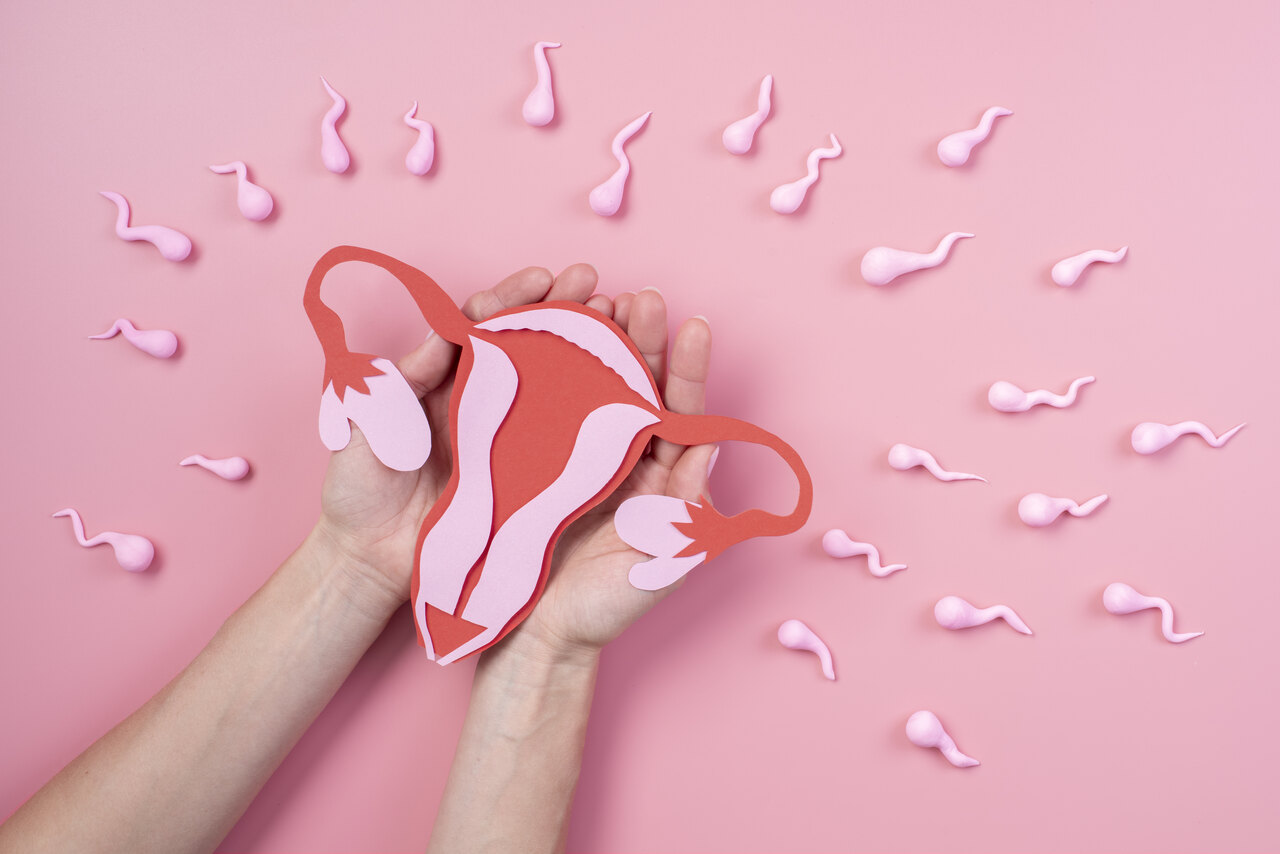 Lei da laqueadura: o que mudou e quais são os direitos da mulher