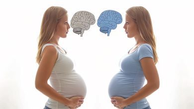 A ciência revela como a maternidade transforma o cérebro da mulher