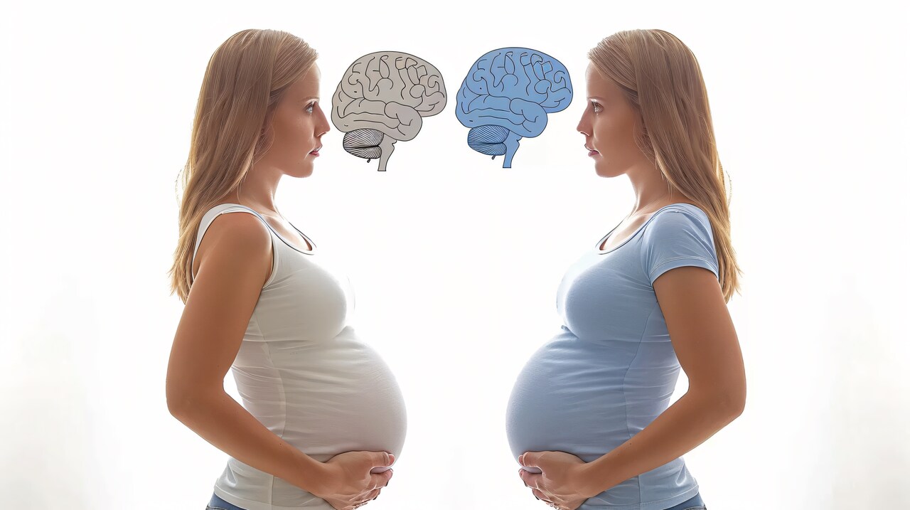 A ciência revela como a maternidade transforma o cérebro da mulher