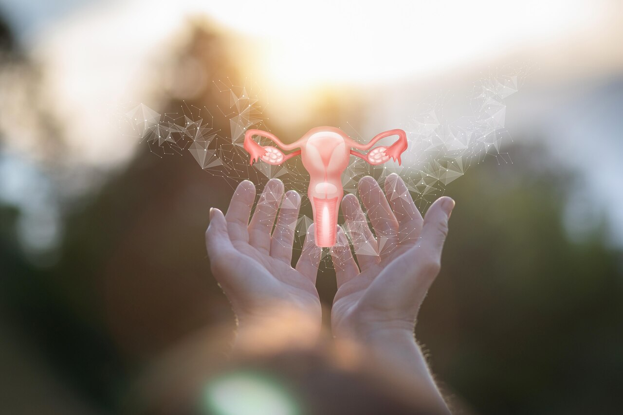 Endometriose e adenomiose a diferença que muitas mulheres descobrem tarde demais
