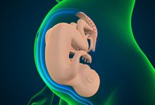 O sinal silencioso de que o nascimento está se aproximando